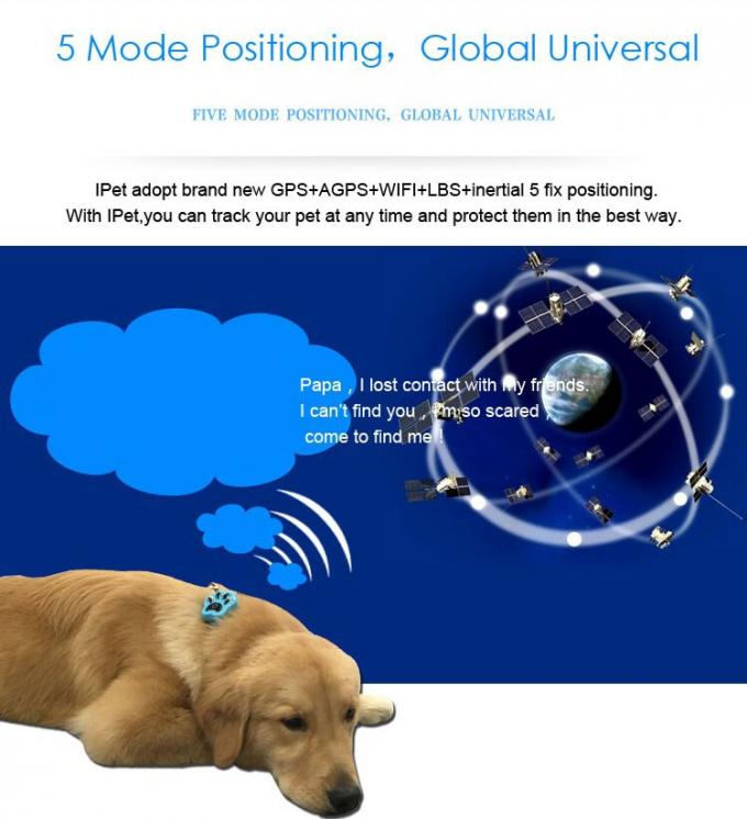 O perseguidor móvel o menor do número dos gps do mundo com o mapa de Google do telefone que segue o dispositivo para animais de estimação